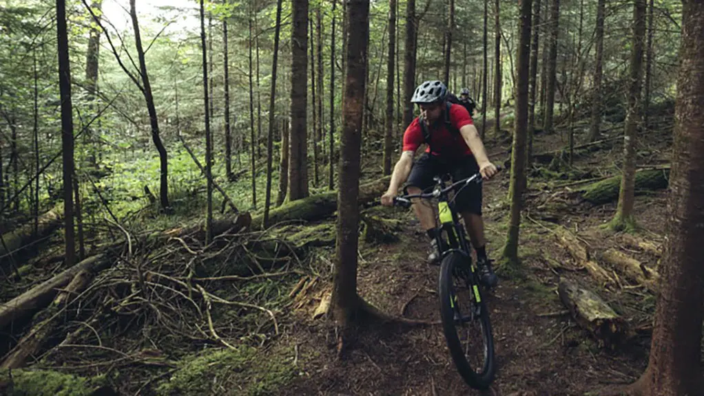 Ein Mann fährt mit dem Mountainbike auf einem schroffen Waldweg.