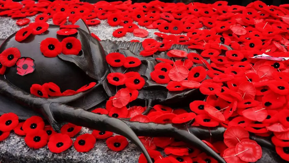 Hunderte von roten Mohnblumen-Anstecknadeln sind am steinernen Grabmal des unbekannten Soldaten im Nationalen Kriegsdenkmal in Ottawa angebracht.
