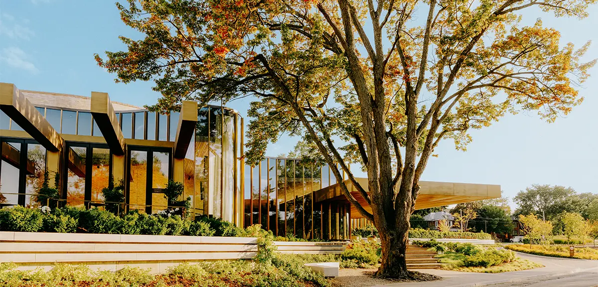 Une foule rassemblée dans un amphithéâtre en plein air entouré d’arbres regarde une pièce de théâtre se dérouler sur une scène à l’éclairage chaleureux à la tombée de la nuit.