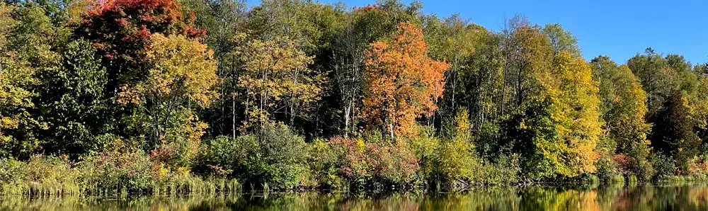 Die herbstlichen Blätter des Waldes spiegeln sich im ruhigen Wasser des Sees.