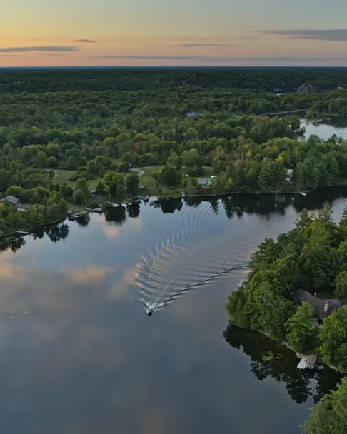 Aerial view of a river snaking through thick forest