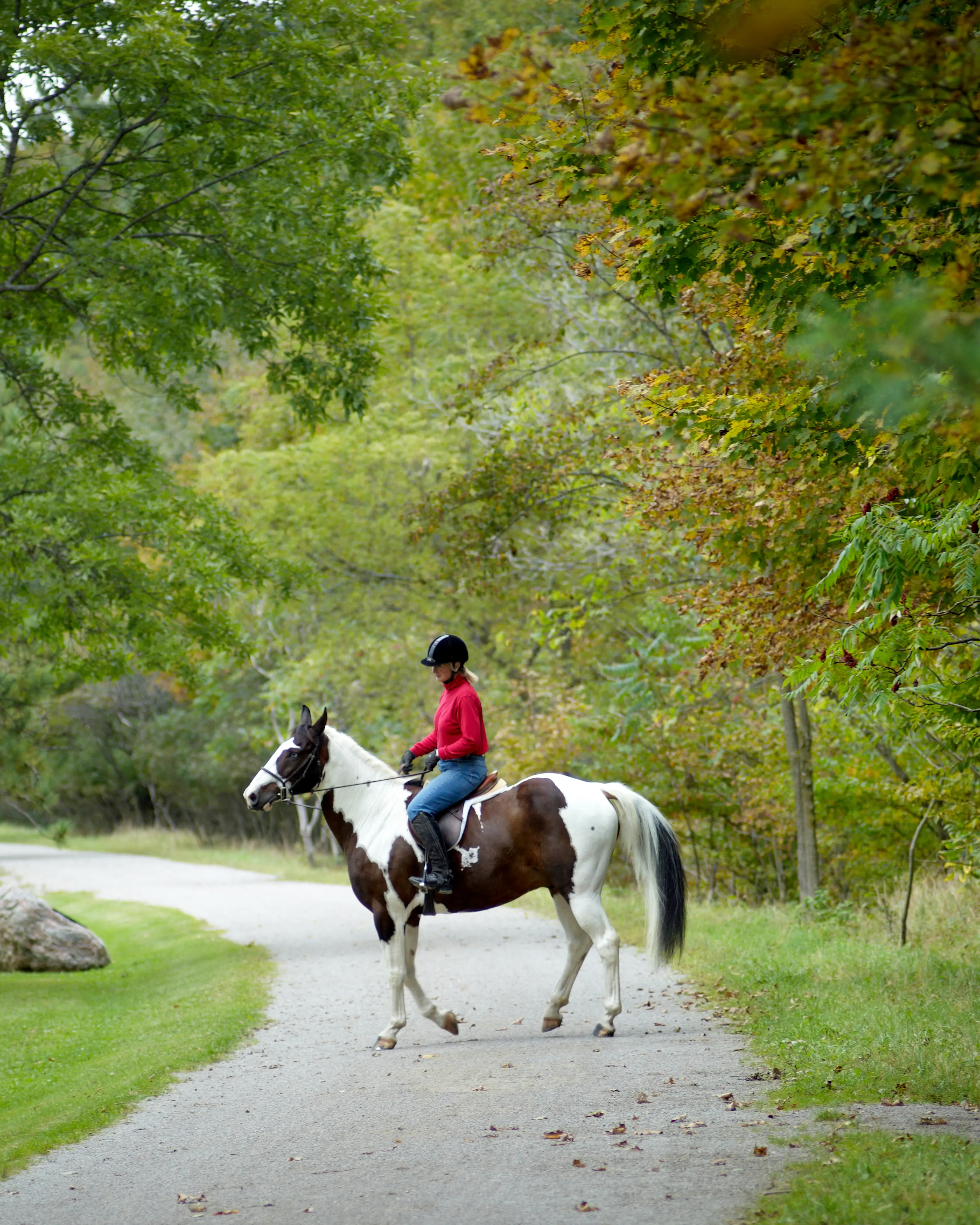 Eine Frau reitet auf einem Pferd entlang des Hamilton-Brantford Rail Trail.