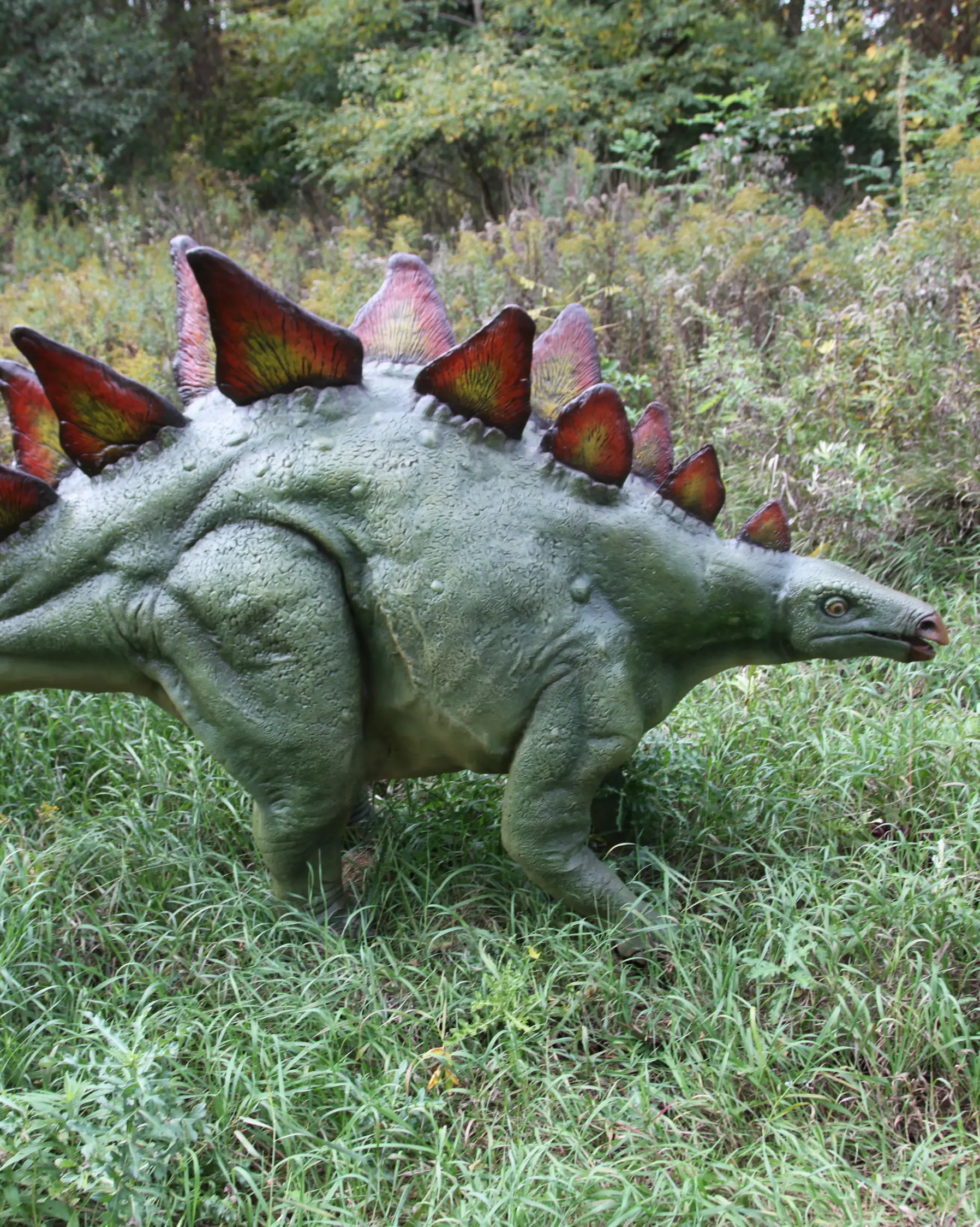 Un dinosaurio de tamaño natural en un parque al aire libre.